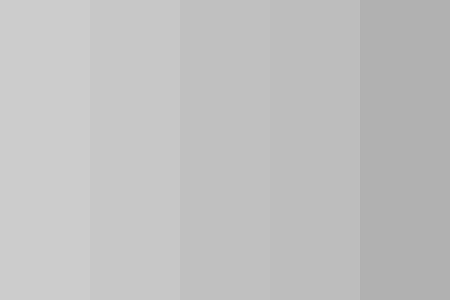 Metallic Silver Color Palette