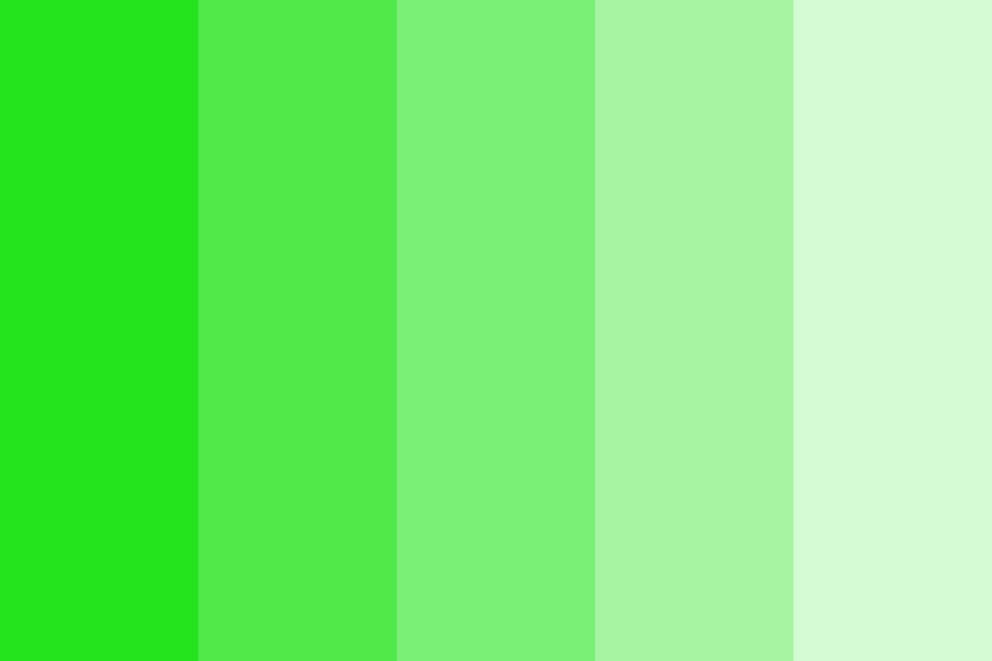 Kawasaki Color Palette
