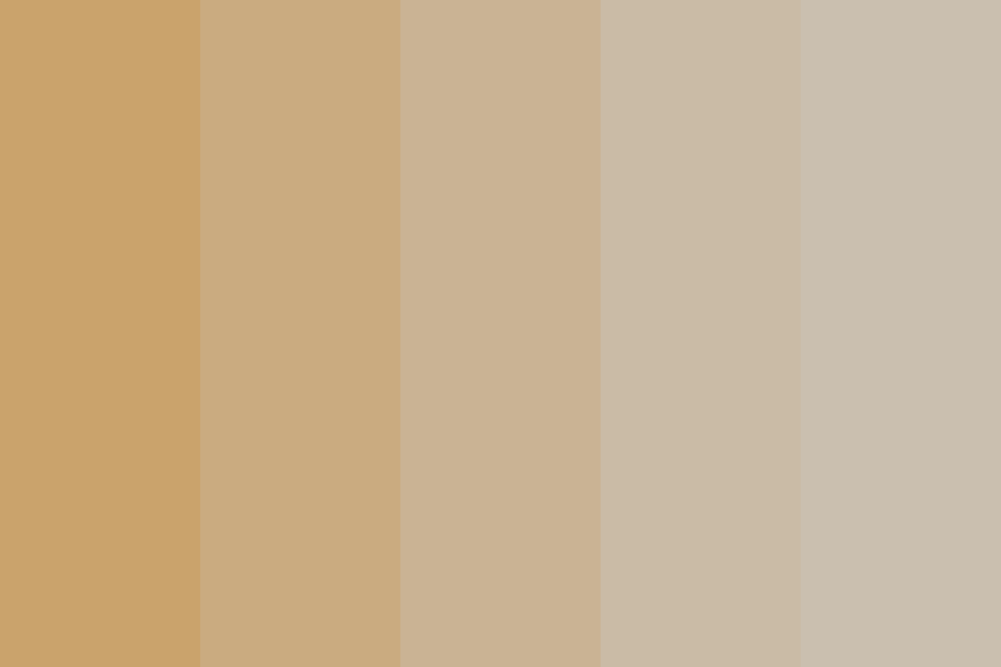 Teddy Bear Color Palette