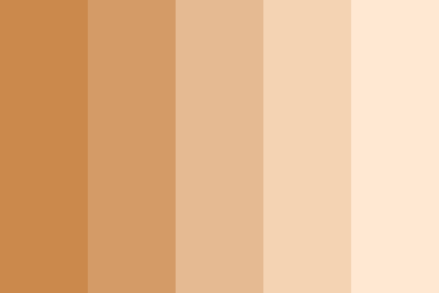 Tigers Eye Color Palette