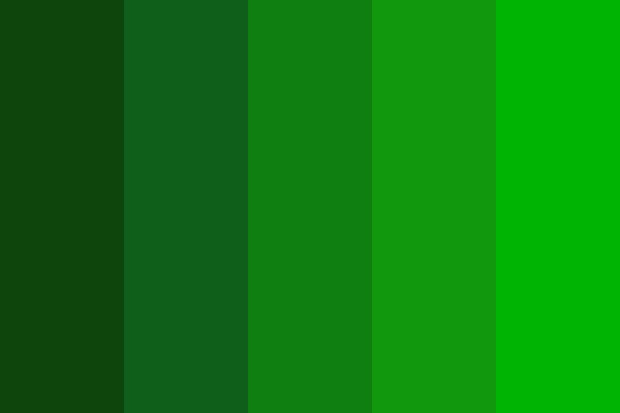 Evergreen SWAG Color Palette