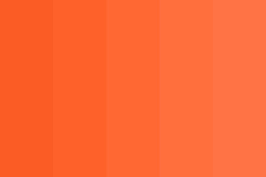 Coral diving Color Palette