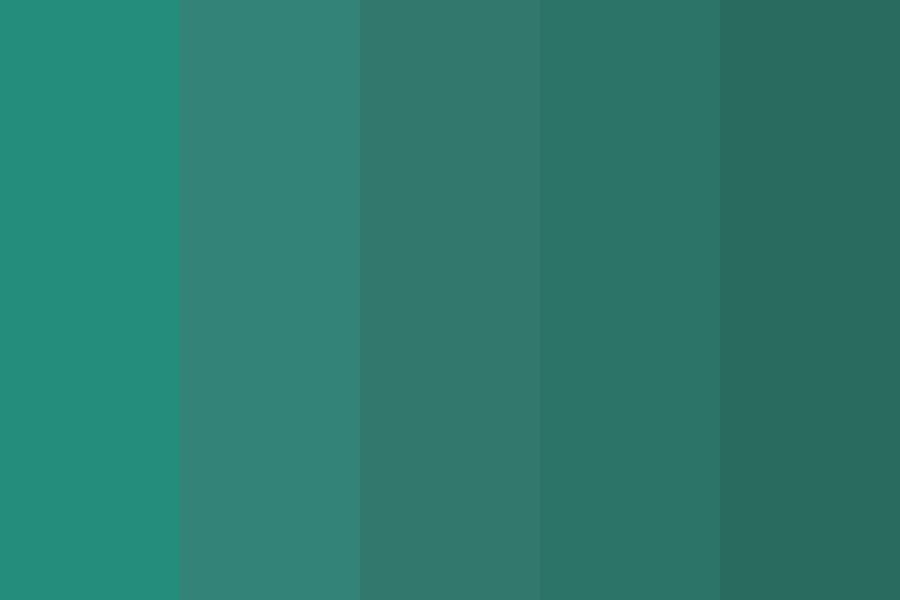 evergreen tree Color Palette
