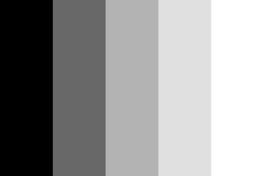 Black Dark Gray Med Gray Lt Gray White Color Palette