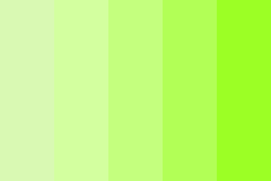 Key Lime Pie Color Palette