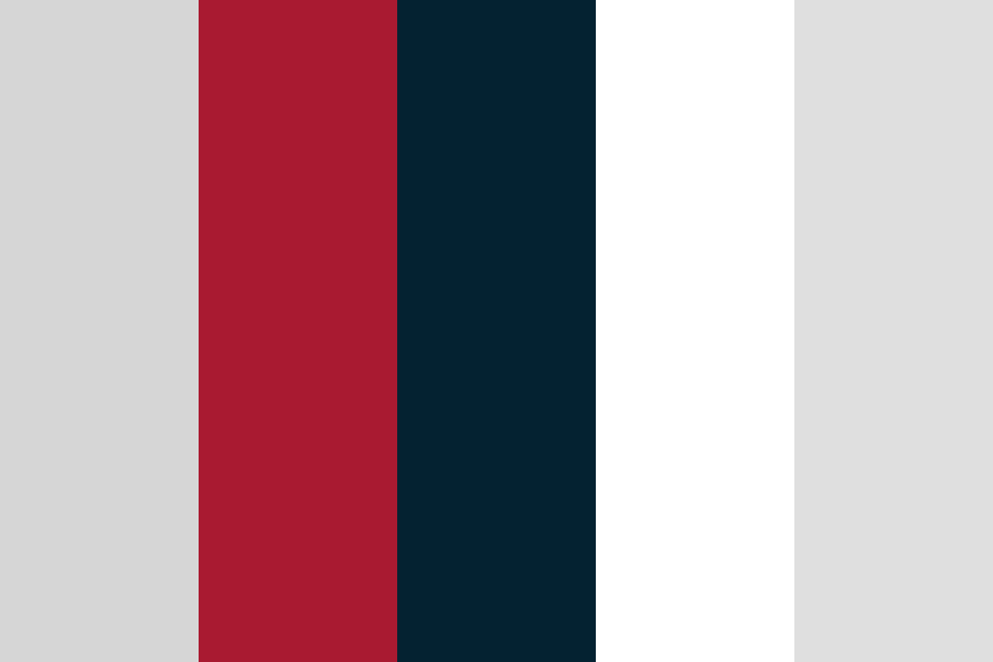 Texans Color Palette