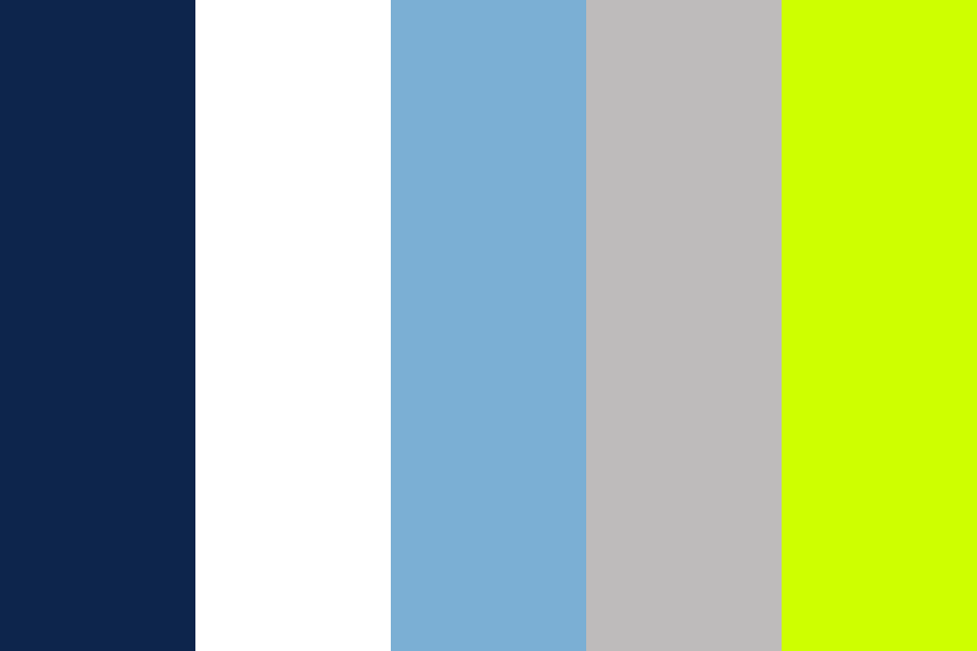 Startegies T Shirts Color Palette