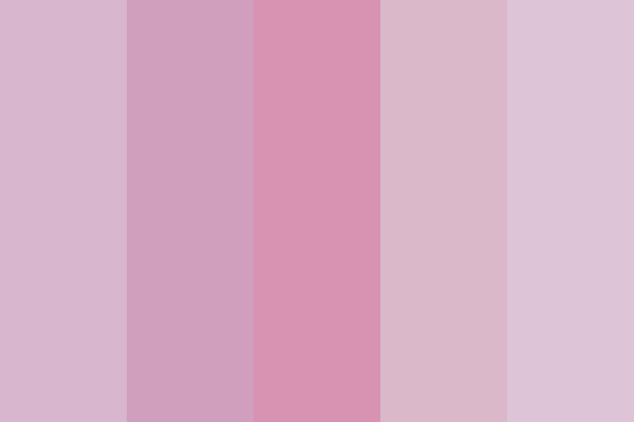 Light Spring Pink Color Palette