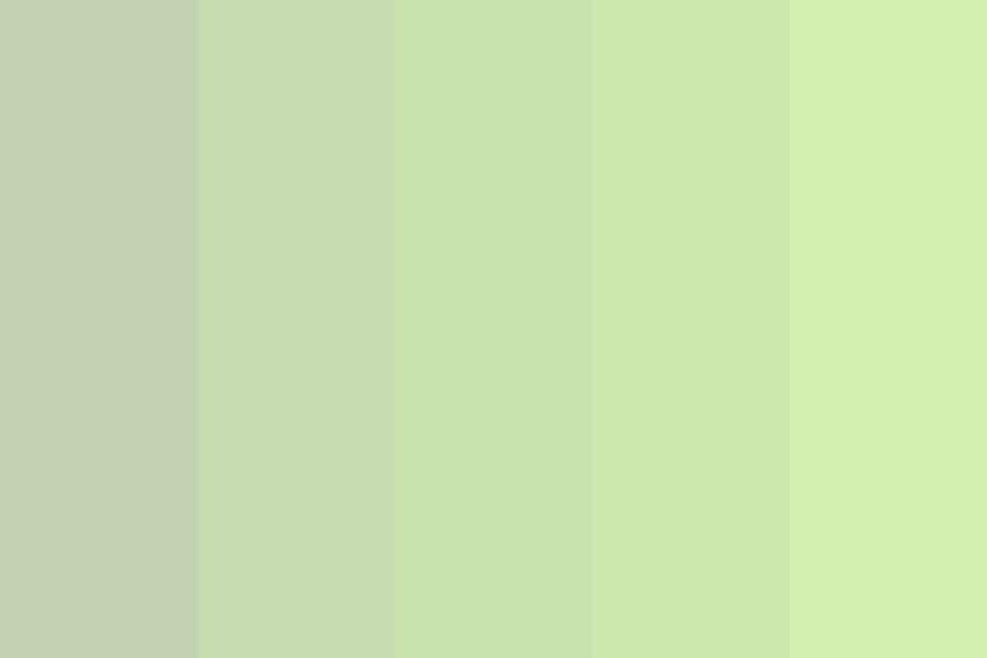 Moss Tea Color Palette