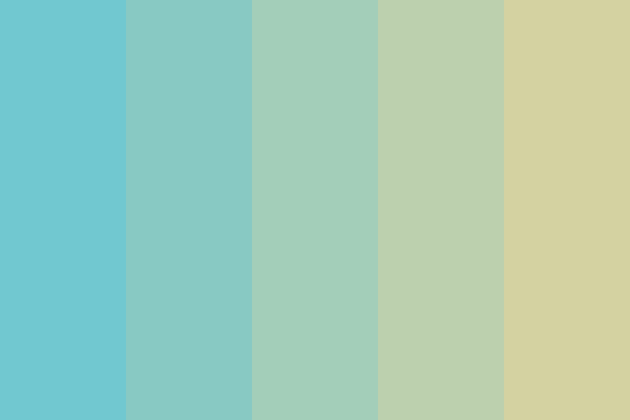 in translation Color Palette