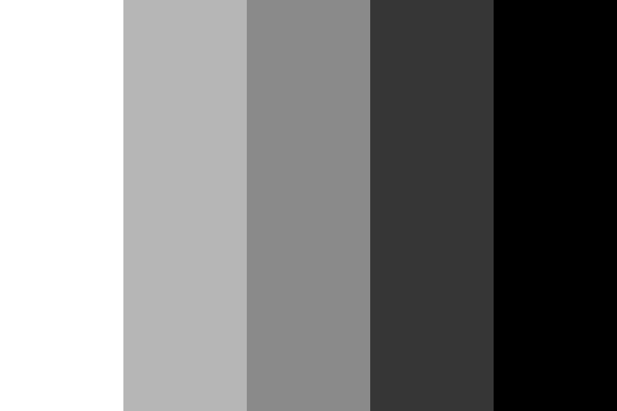 basic grayscale Color Palette