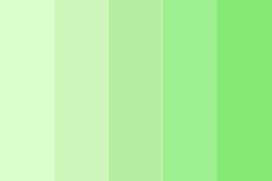 Dream Green Sunset Color Palette