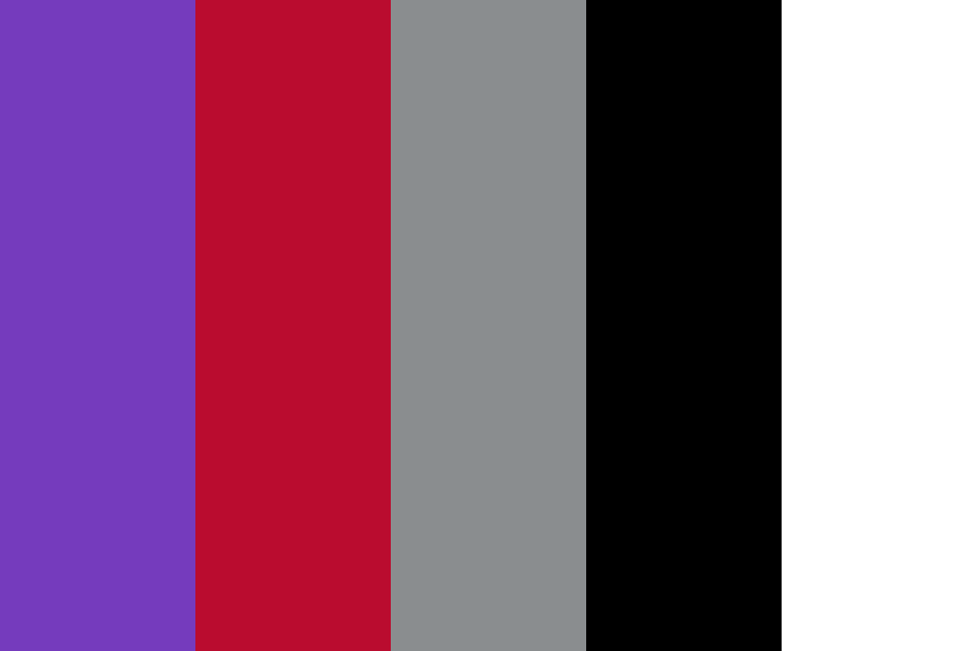 Toronto Raptors Team Colors HEX, RGB, CMYK, PANTONE COLOR CODES OF
