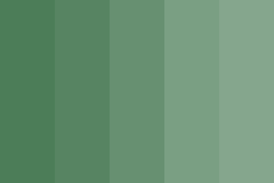 f o r e s t Color Palette