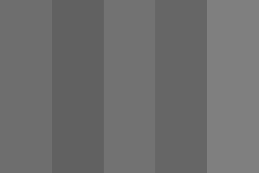 5 Shades Of Gray Color Palette