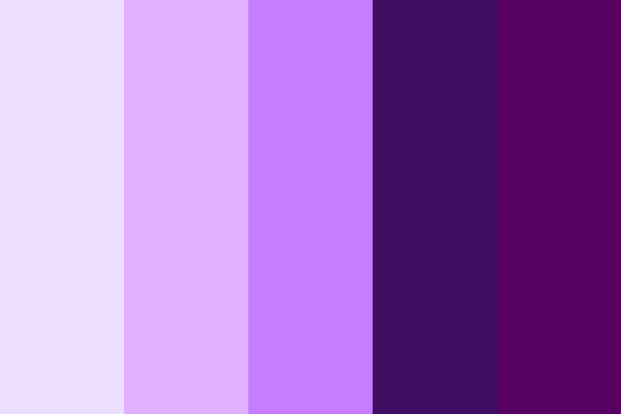 Various shades of purple Color Palette