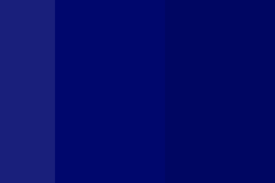 Cool Navy Color Palette