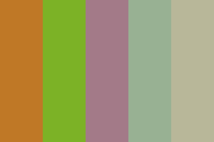 Boulder Color Palette