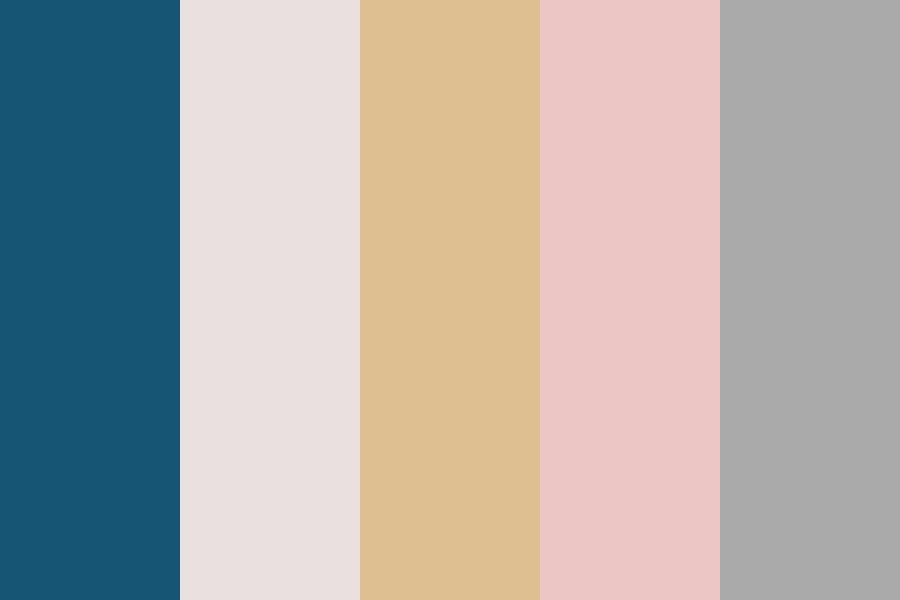 Minimal closet Color Palette