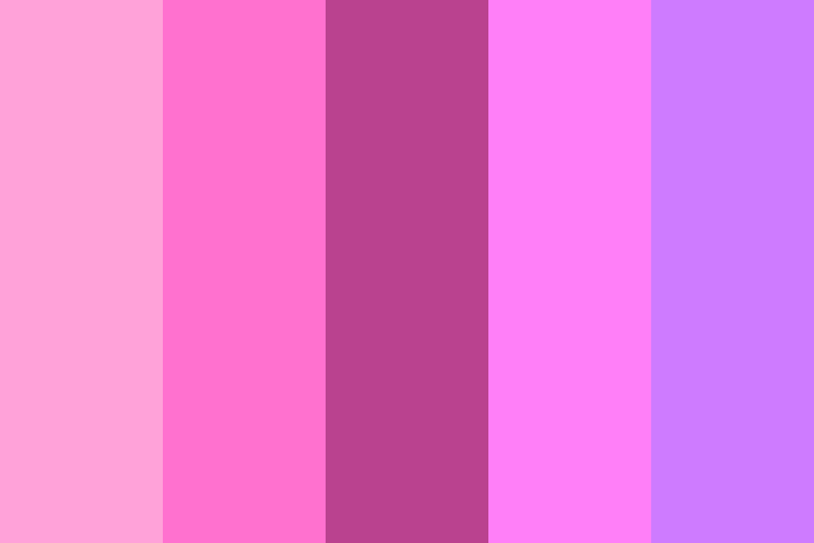 Pink to Magenta to Purple Color Palette