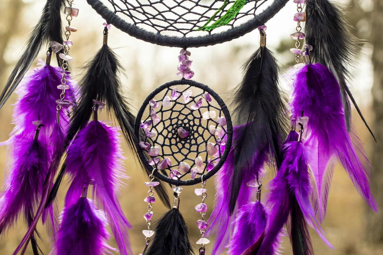Purple Feather Meaning and Symbolism Color Meanings