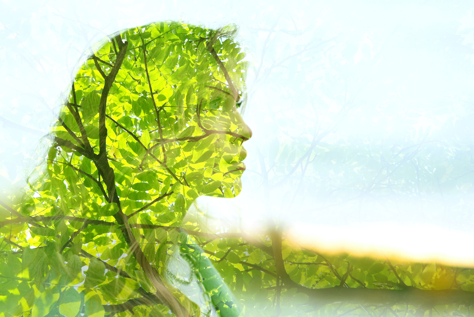 Green Personality What Your Favorite Color Says About You Color Meanings