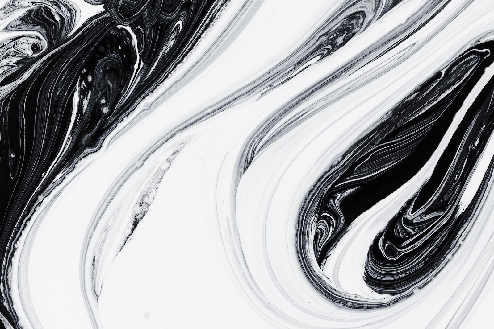 Examples Of Contrast In Art Black And White