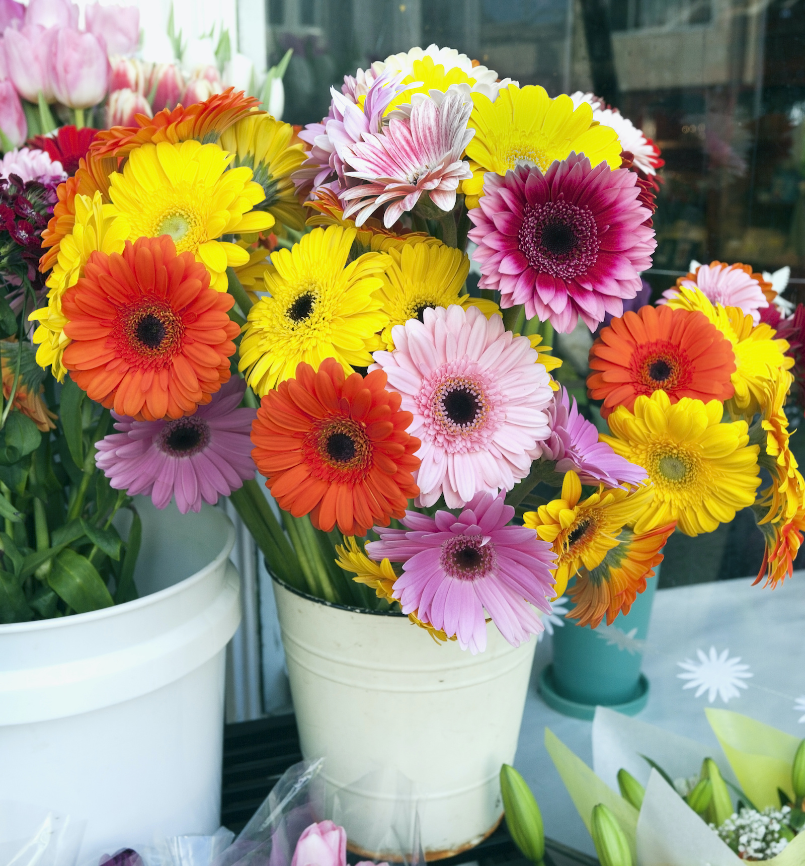 85 of the Most Colorful Flowers in the World Color Meanings