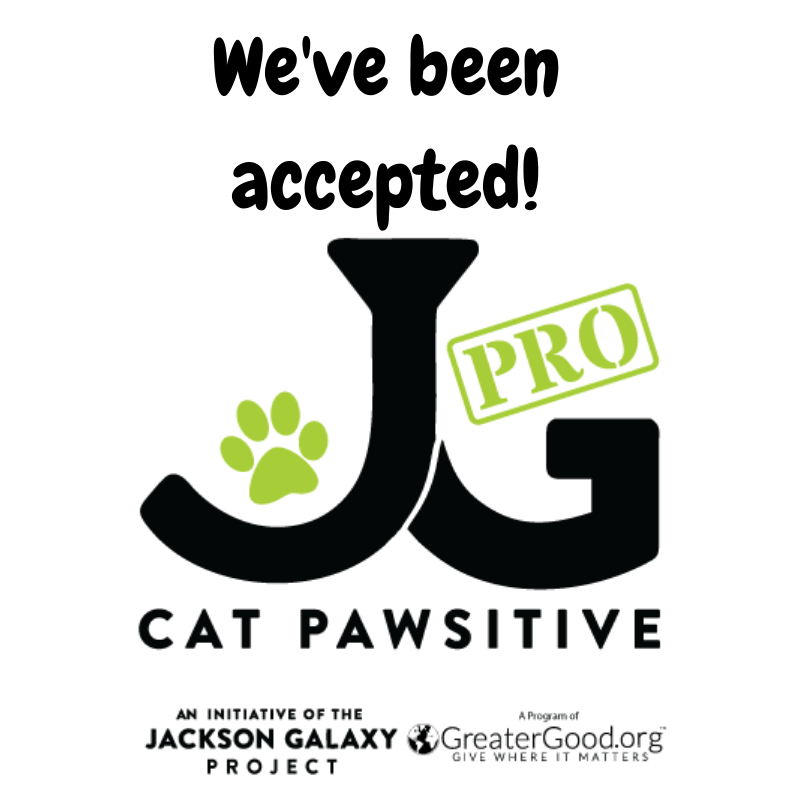 Cat Pawsitive Pro, we're pawsitively ecstatic!! Colorado Animal Rescue