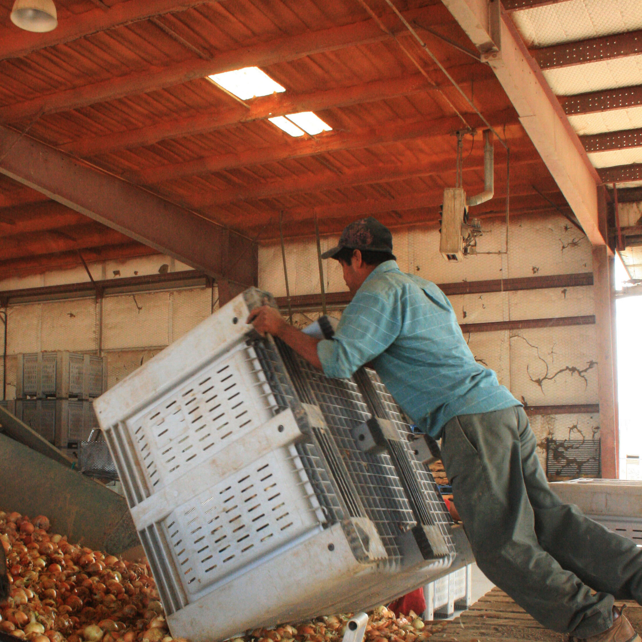 Contact Us Colorado Legal Services MFWD