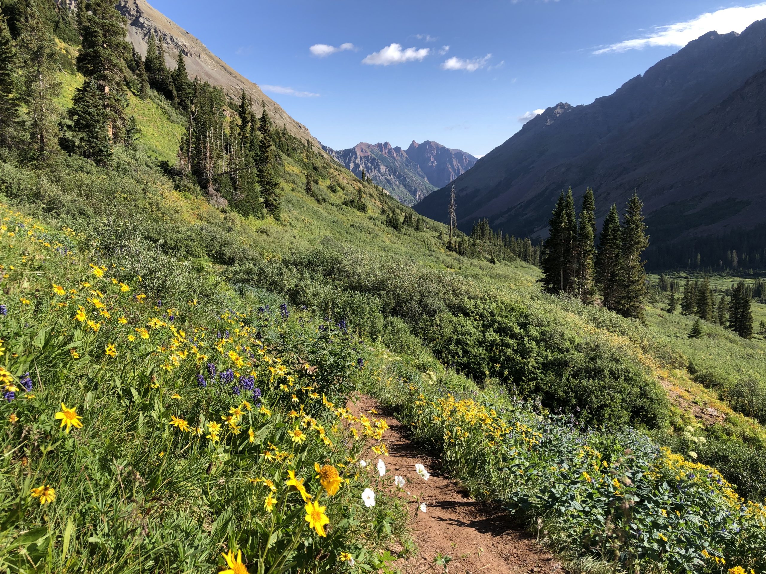 6 Great Tips for Hiking in Colorado