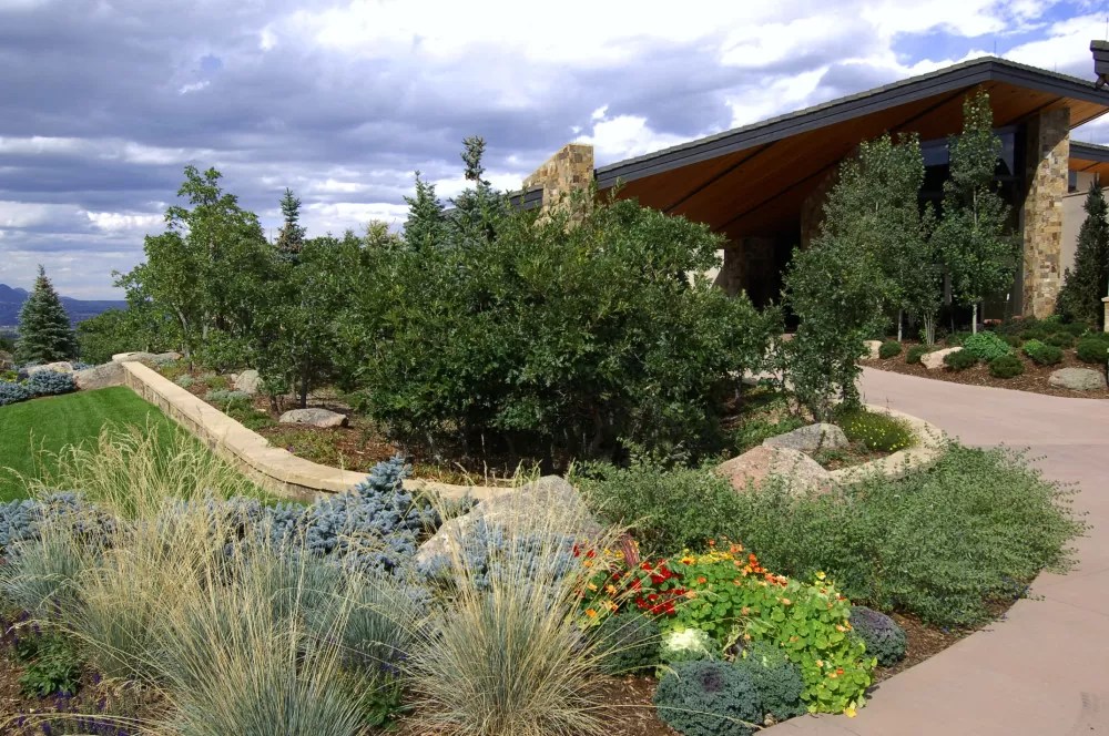Floral borders are rows of plants and flowers placed around the perimeter of your home. Landscaping Materials Colorado Springs Landscaping Plant Ideas