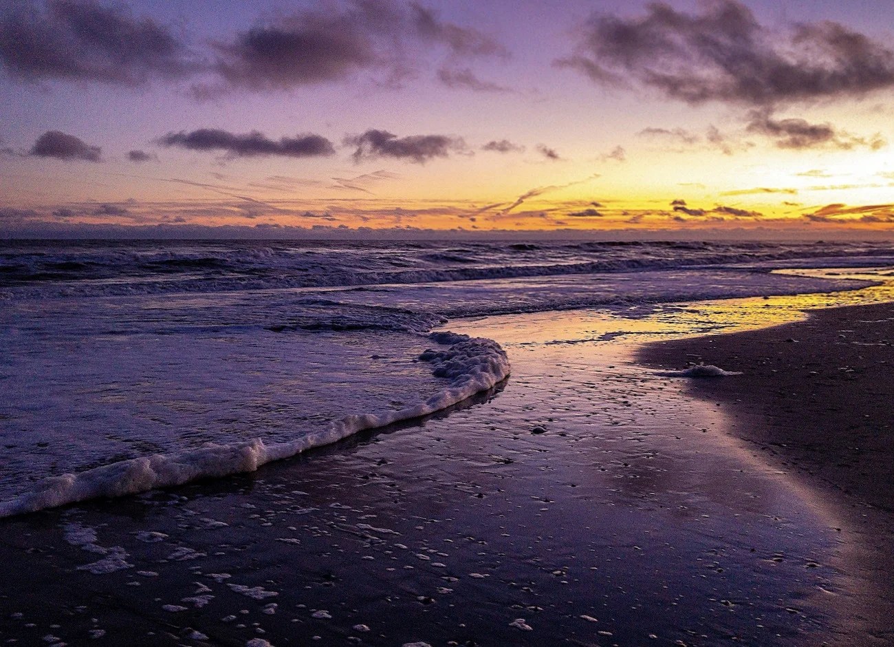 Myrtle Beach Rental Properties Color Adomazda Club