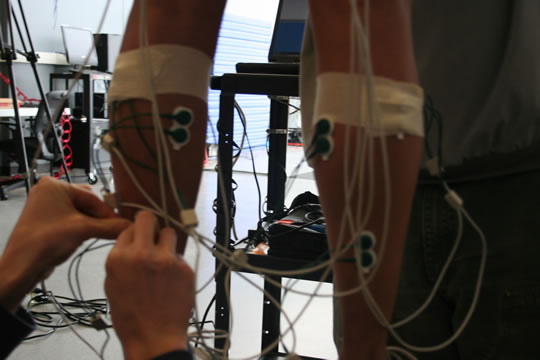 Master of Science in Health and Exercise Science, Plan A