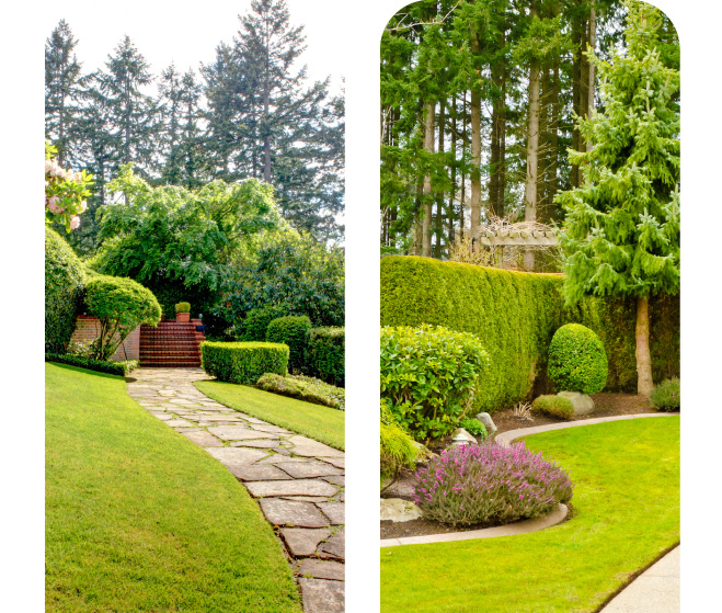 Home Colorful Landscape & More