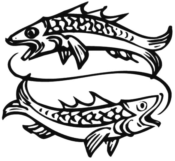 Coloring Two Fish picture