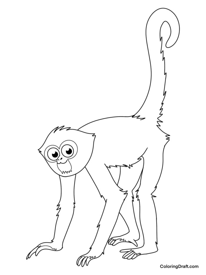 Spider Monkey Coloring Pages