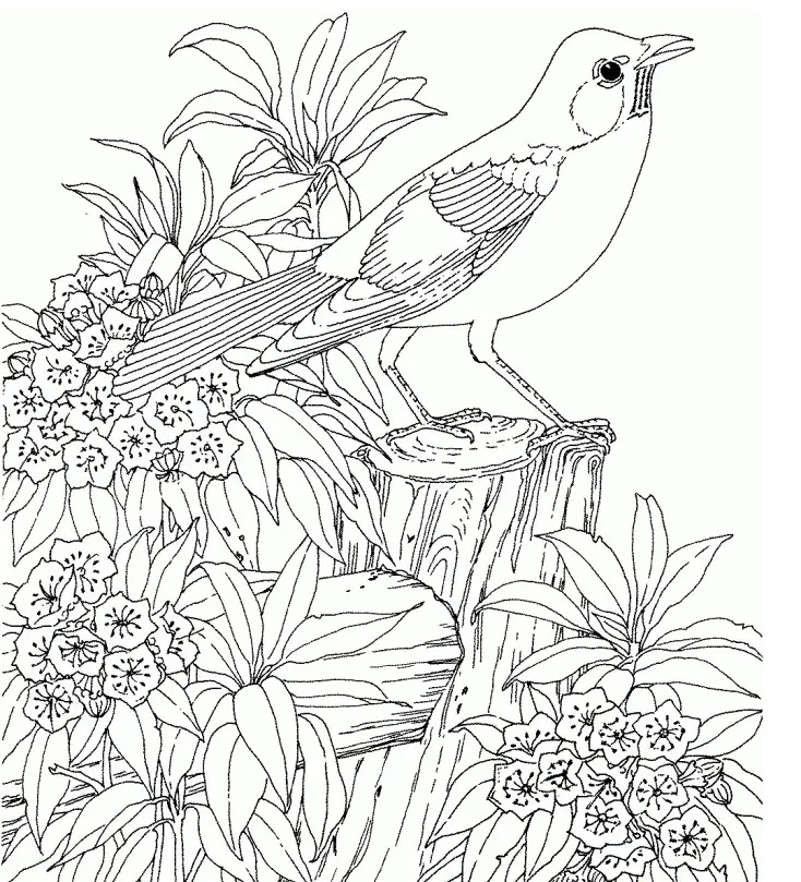 Coloring Pages Flowers Hard