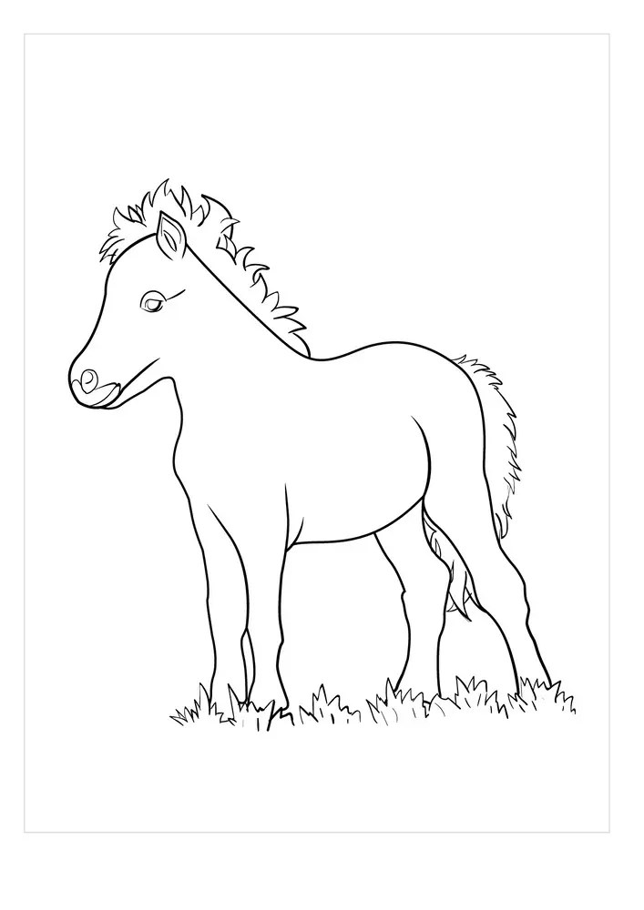 Mini Horse Coloring Pages & coloring book. 6000+ coloring pages.