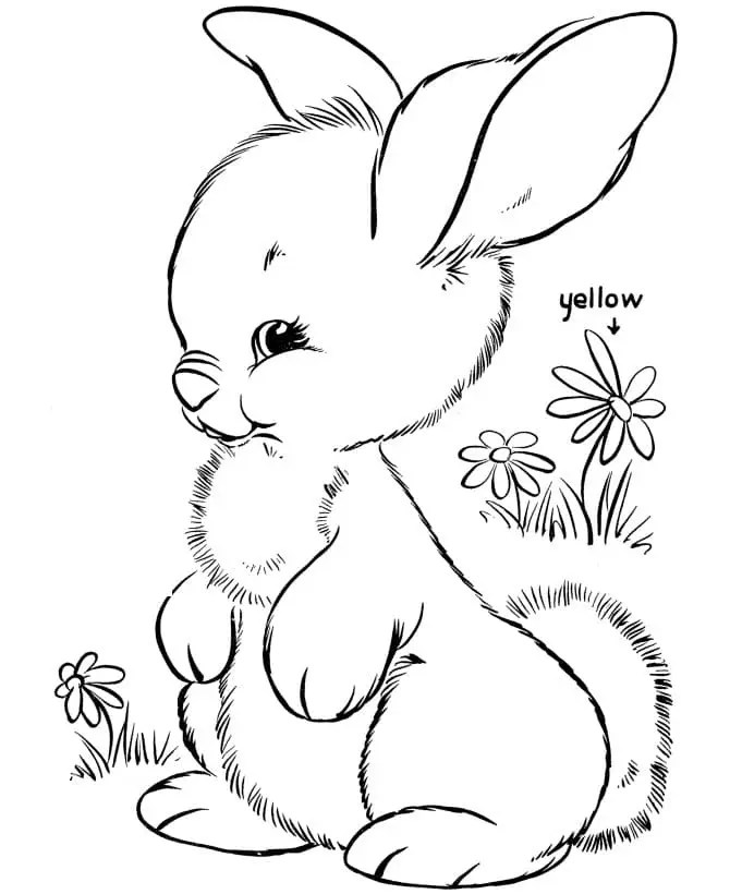 Rabbit Winter Coloring Pages & coloring book.