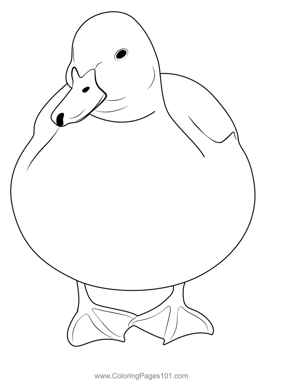 A Beautiful Duck Resting Coloring Page for Kids Free Ducks Printable