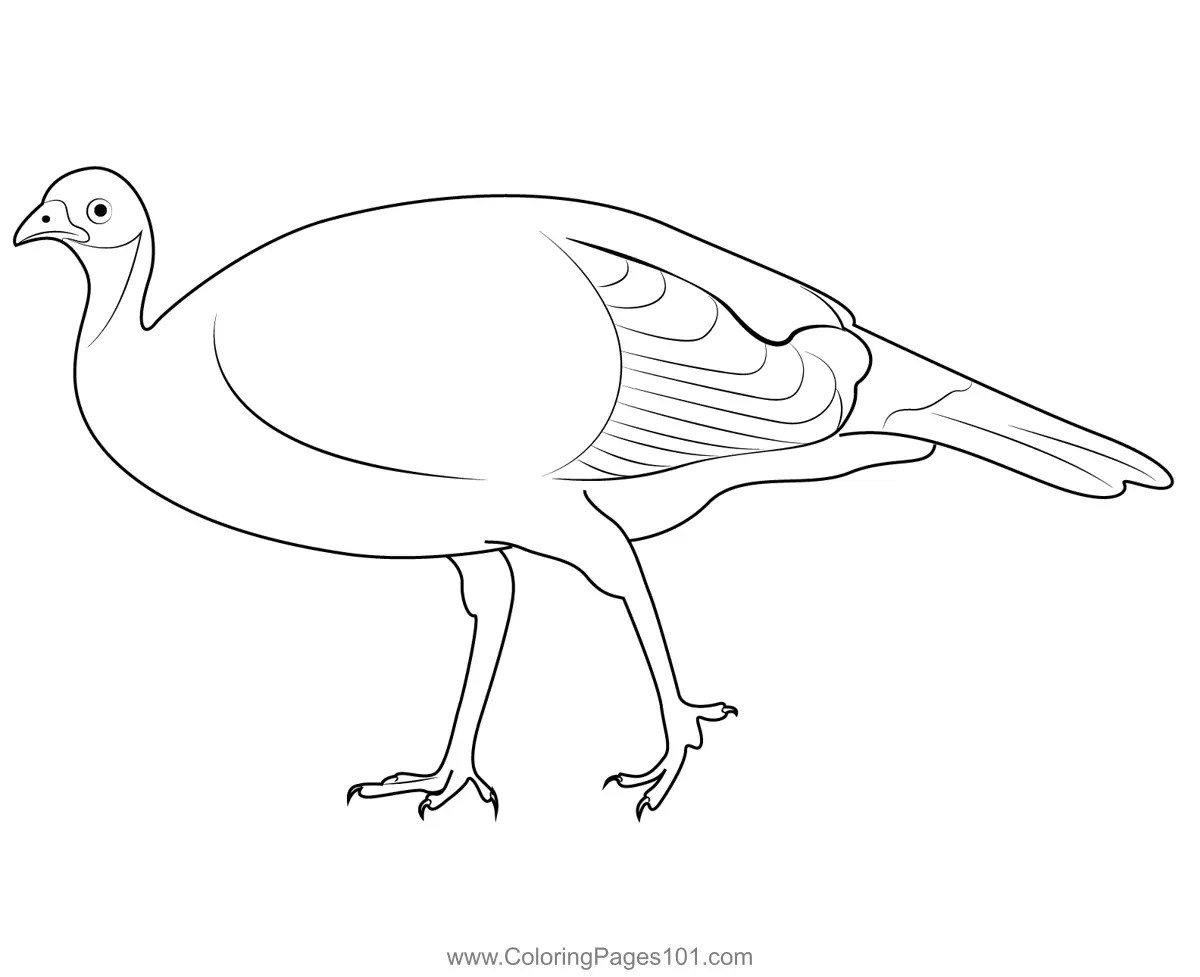 Female Turkey Coloring Page for Kids Free Turkeys Printable Coloring