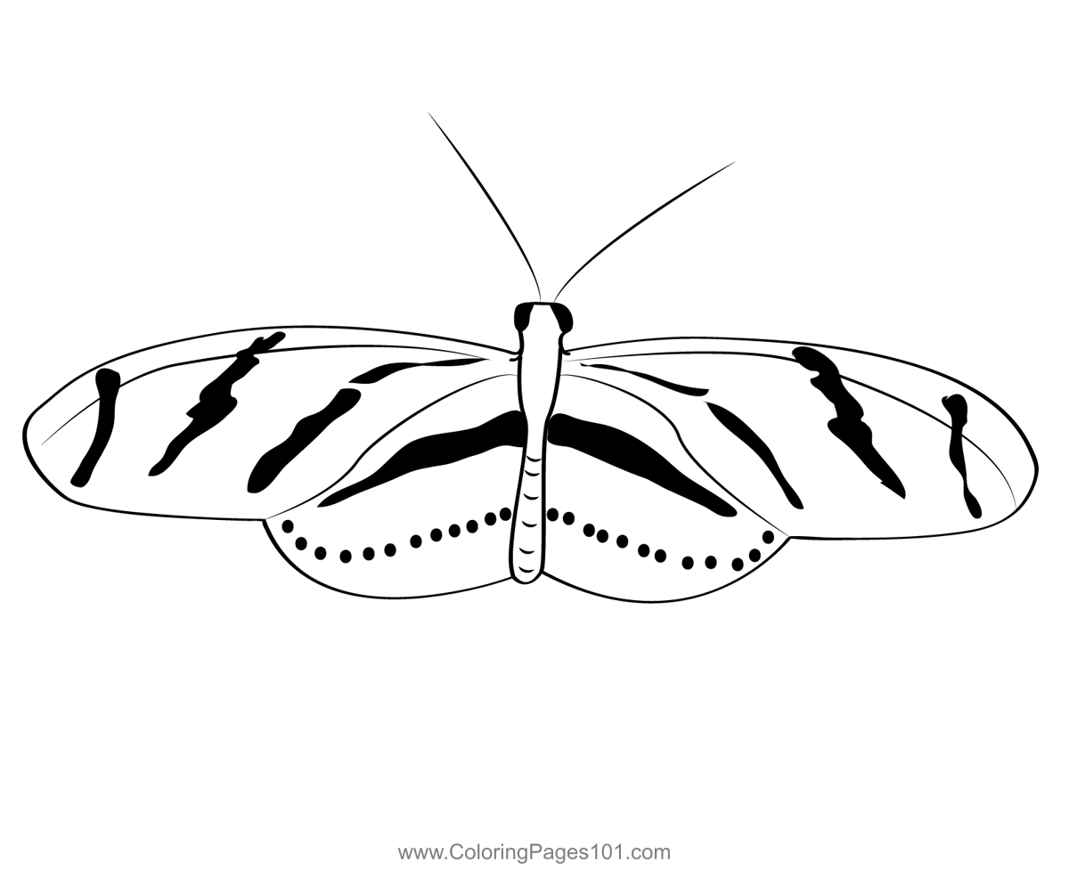 Monarch Butterfly Coloring Page for Kids Free Butterflies Printable