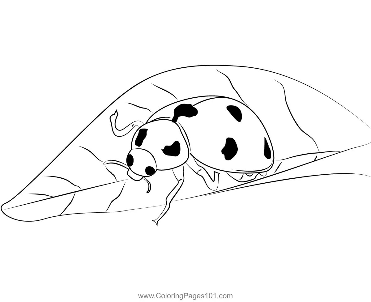Cute Ladybug Coloring Page for Kids Free Ladybugs Printable Coloring