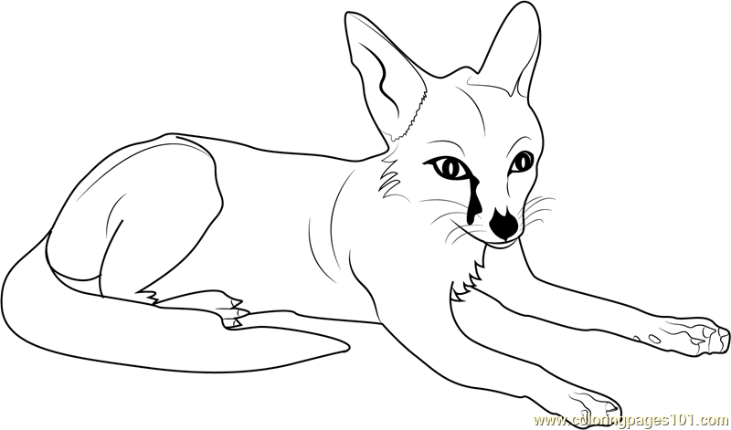 Fox Coloring Pages Free Printable Coloring Pages for Kids