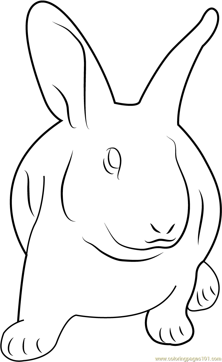 Rabbit Coloring Pages for Kids Printable Free Download.