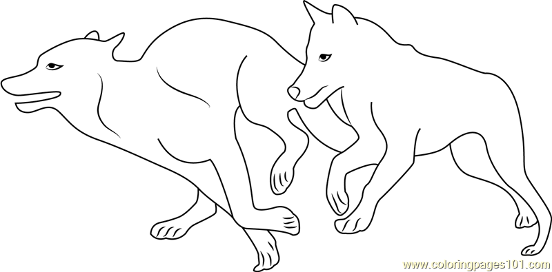 Two Wolves Running Coloring Page for Kids Free Wolf Printable