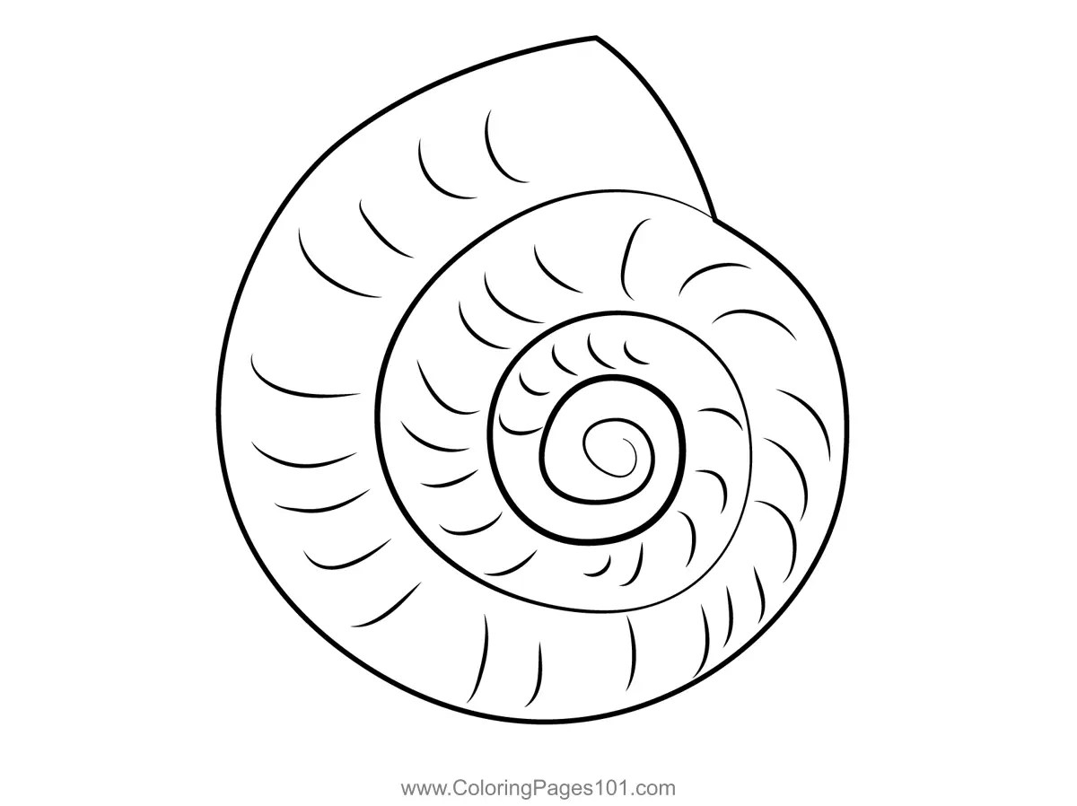 Snail Shell Coloring Page for Kids Free Seasons Printable Coloring