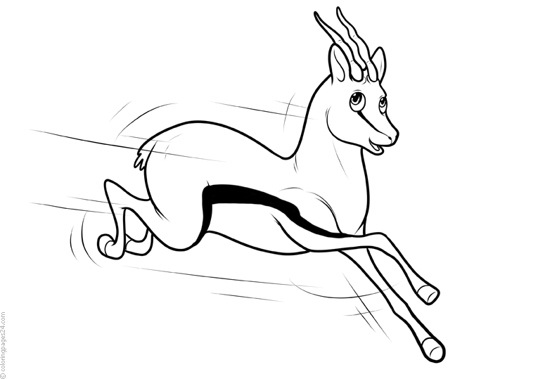 Online Antelopes Painting Pages For Kids