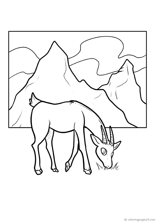 dik dik antelope coloring page